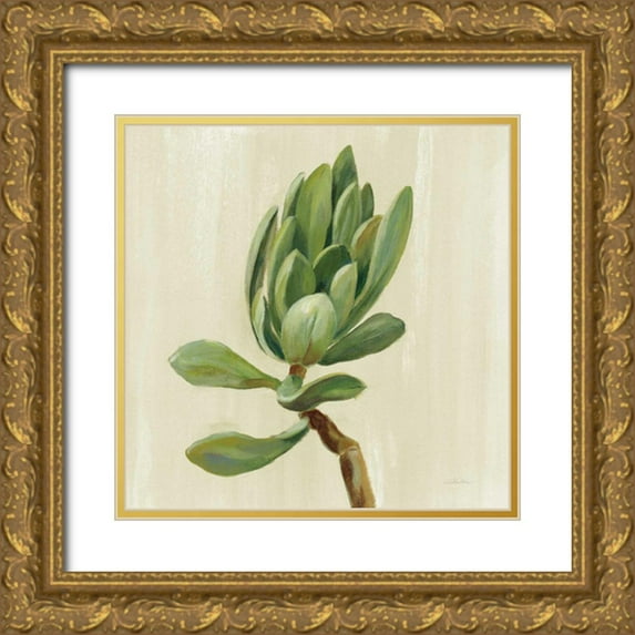 Vassileva, Silvia 15x15 Gold Ornate Wood Framed with Double Matting Museum Art Print Titled - Front Yard Succulent III