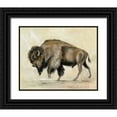 thumbnail image 1 of Vassileva, Silvia 24x20 Black Ornate Wood Framed with Double Matting Museum Art Print Titled - Bronze Buffalo, 1 of 4