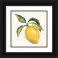 thumbnail image 1 of Vassileva, Silvia 26x26 Black Ornate Wood Framed with Double Matting Museum Art Print Titled - Le Citron on Cream, 1 of 4