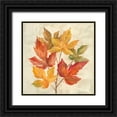thumbnail image 1 of Vassileva, Silvia 26x26 Black Ornate Wood Framed with Double Matting Museum Art Print Titled - November Leaves IV, 1 of 4
