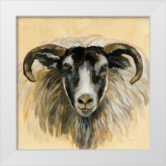 Vassileva, Silvia 26x26 White Modern Wood Framed Museum Art Print Titled - Highland Animal Ram