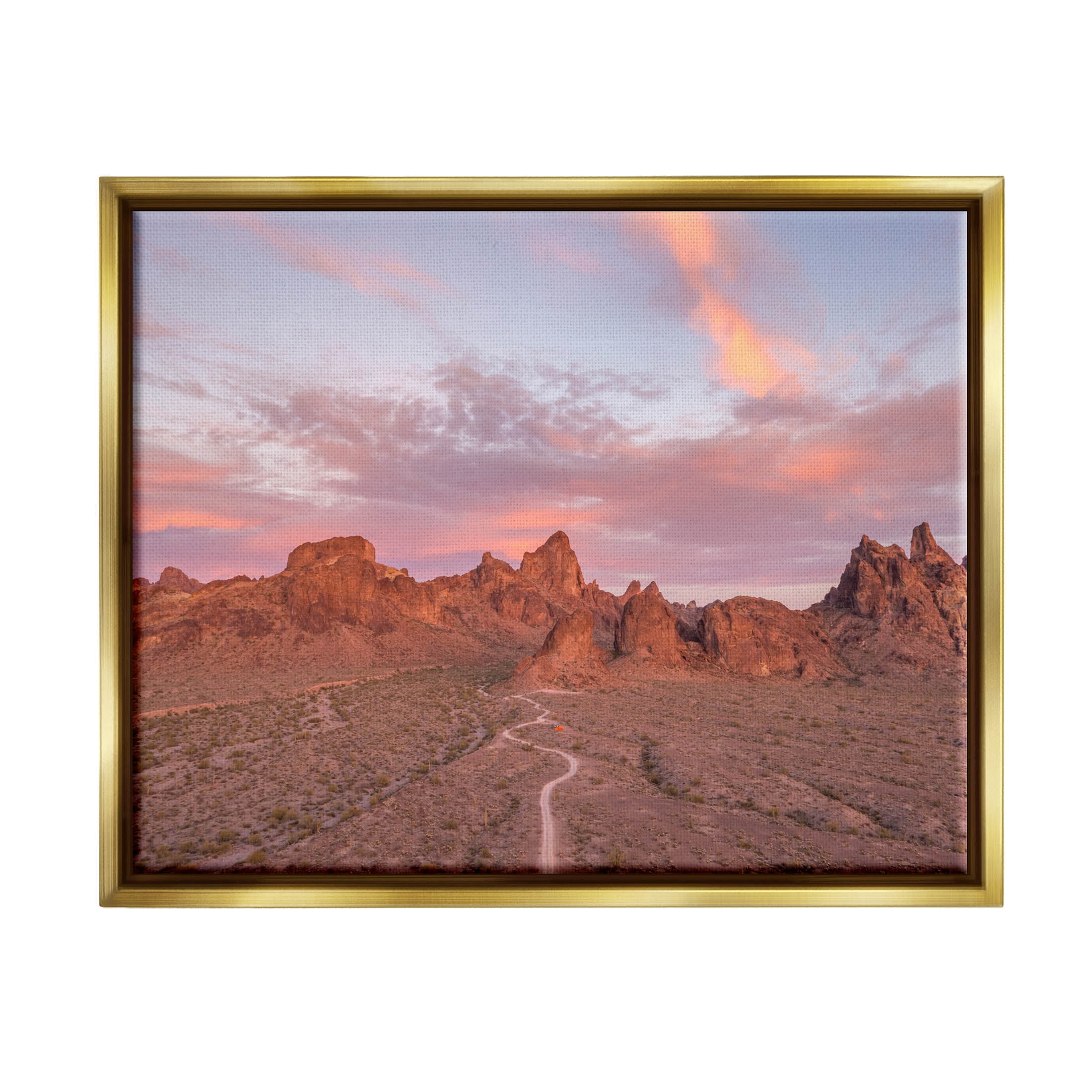 Vast Canyon Road Desert Scene Landscape Photograph Metallic Gold Framed Art Print Wall Art