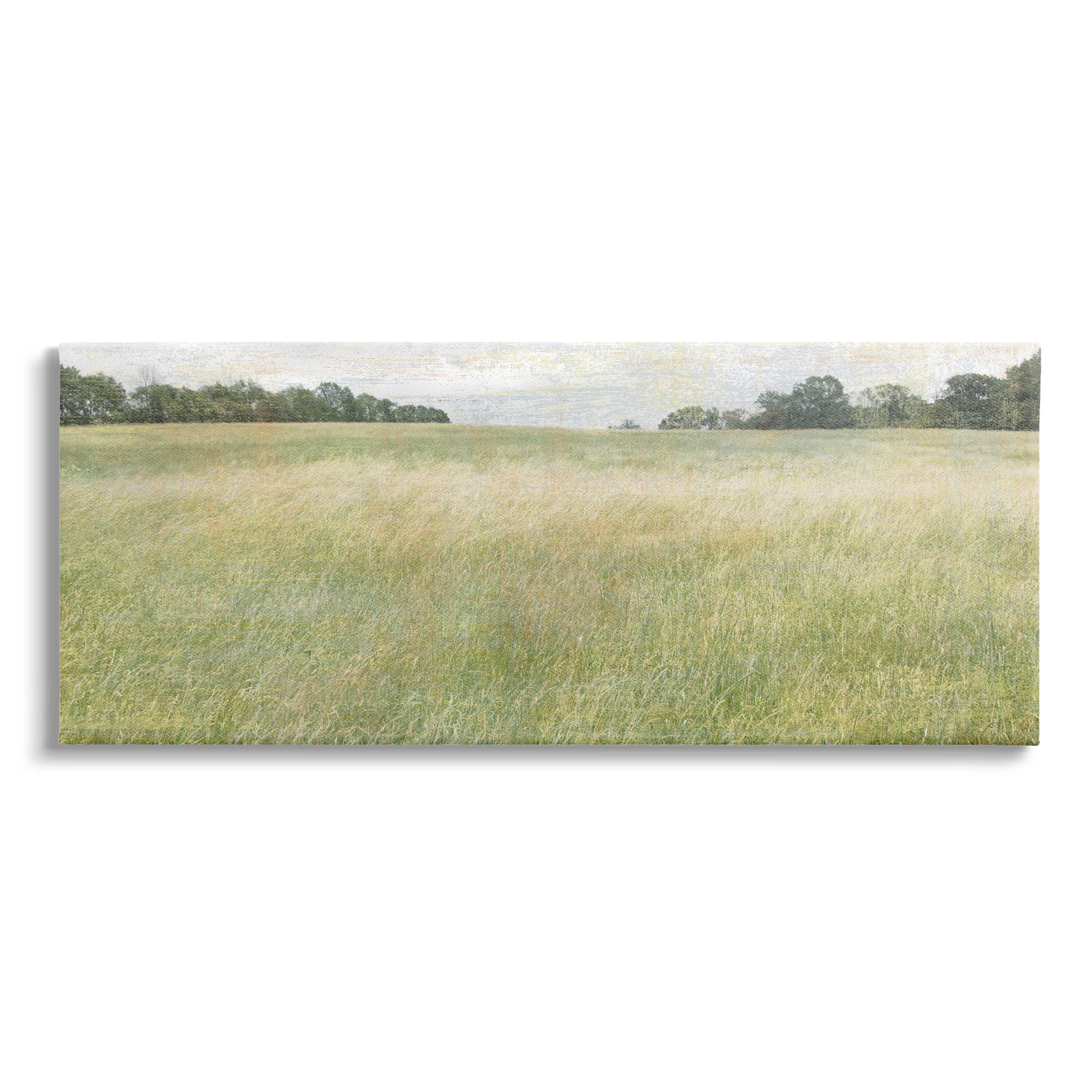 Vast Grassland Field Rural Scene Landscape Graphic Art Gallery Wrapped Canvas Print Wall Art