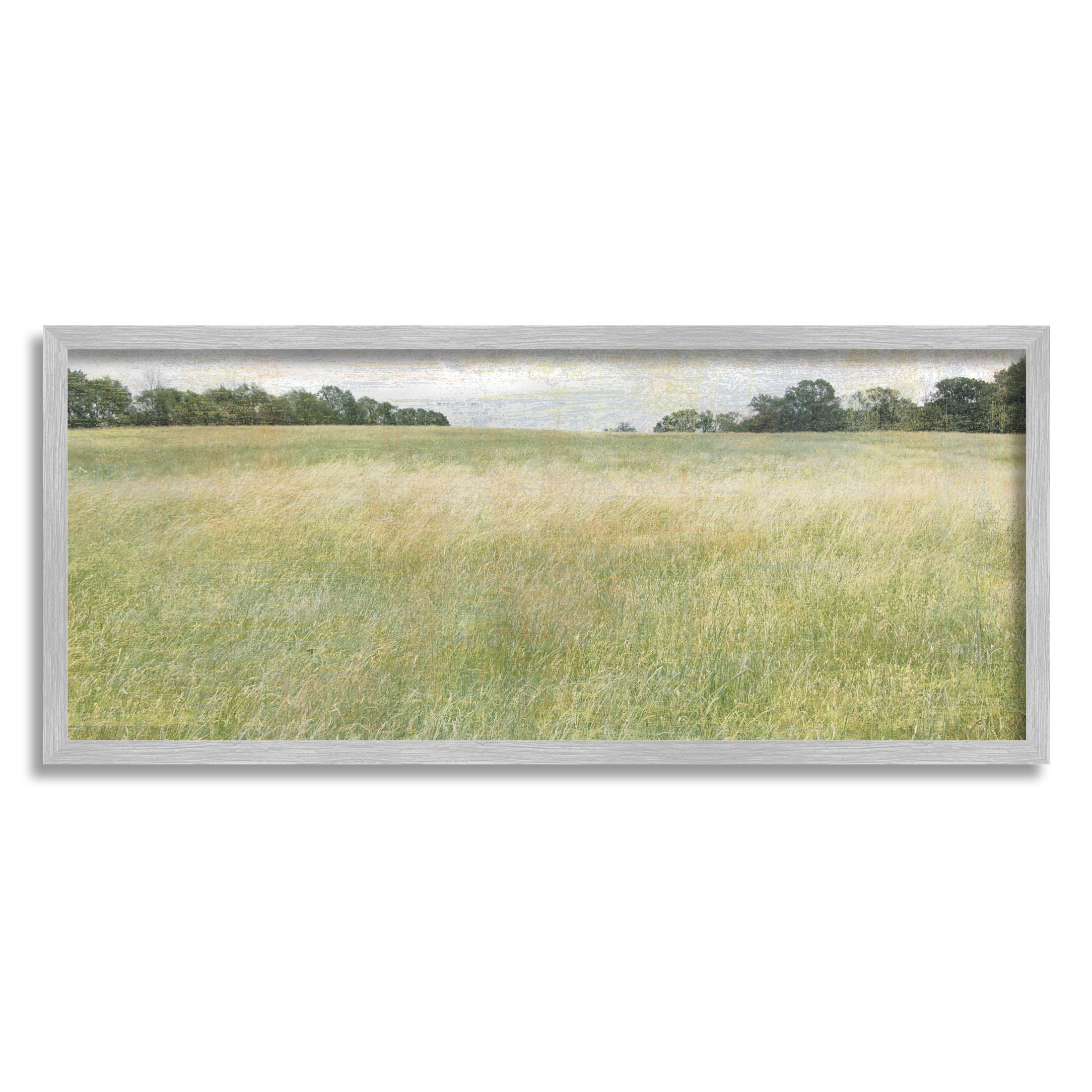 Vast Grassland Field Rural Scene Landscape Graphic Art Gray Framed Art Print Wall Art