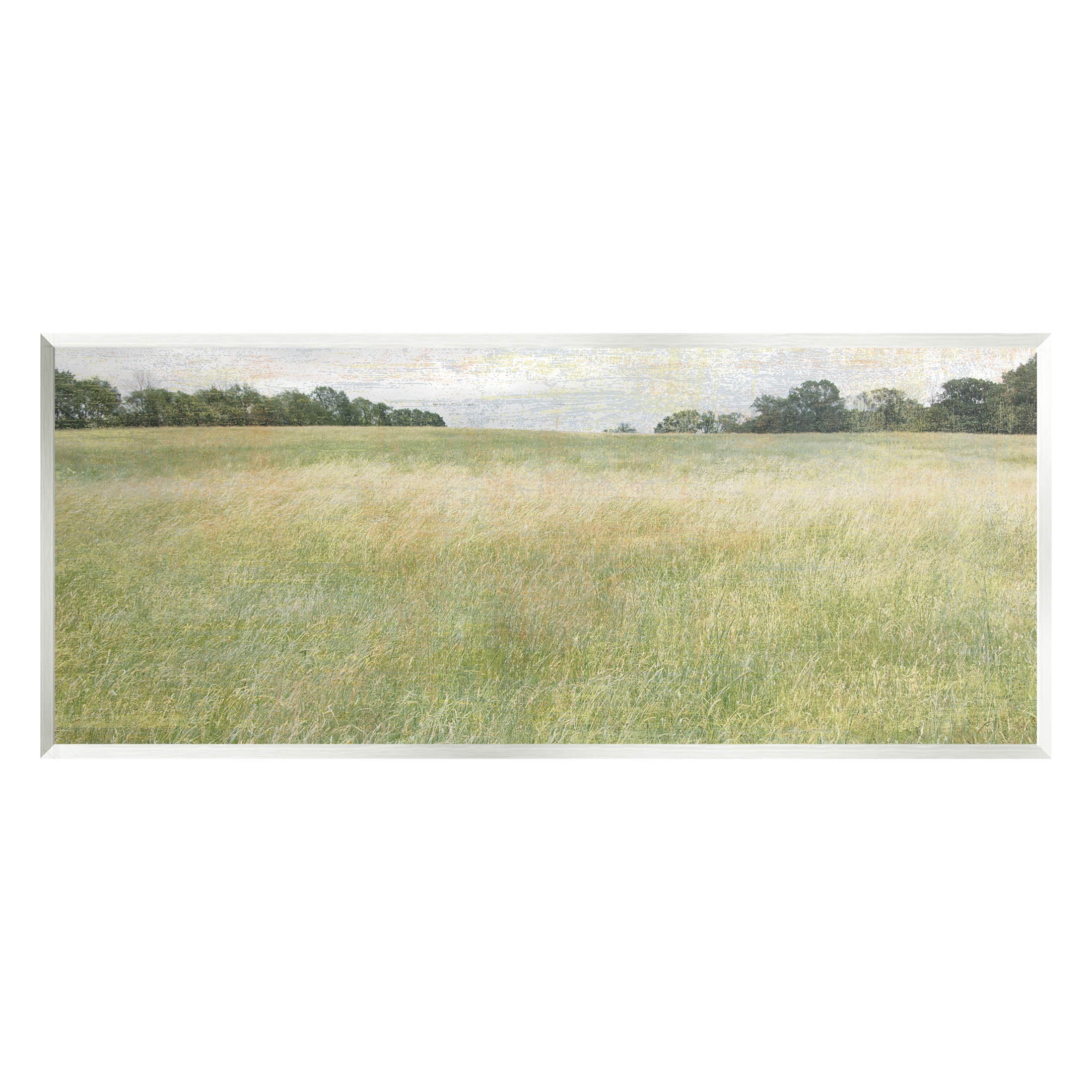 Vast Grassland Field Rural Scene Landscape Graphic Art Unframed Art Print Wall Art