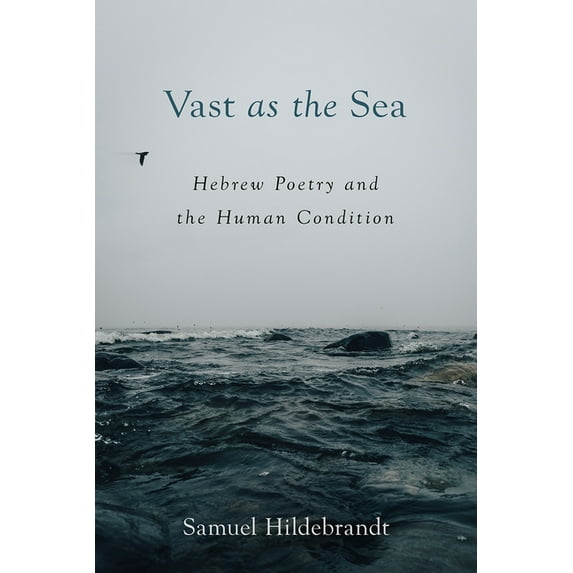 Vast as the Sea: Hebrew Poetry and the Human Condition (Paperback)