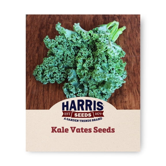 Harris Seeds Vates Blue Curled Scotch Kale Seeds, Blue-Green Curled Leaves, 1/4 lb