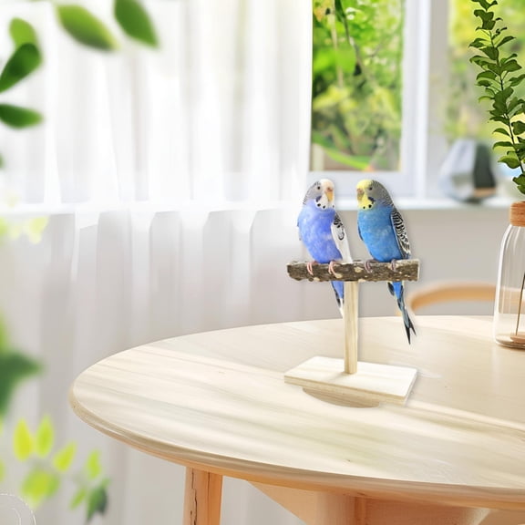 Vaveren Bird Perch Toy Gym Parrot Training Perch Stand for Parakeets Lovebirds Finch