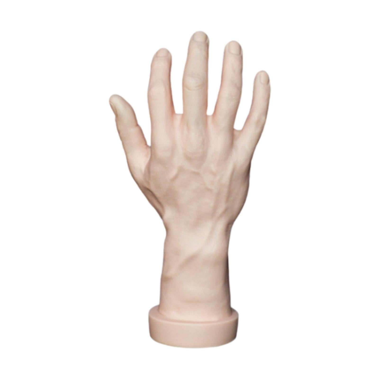Vaveren Hand Model Fake Human Hand for Themed Party Cosplay Decoration ...