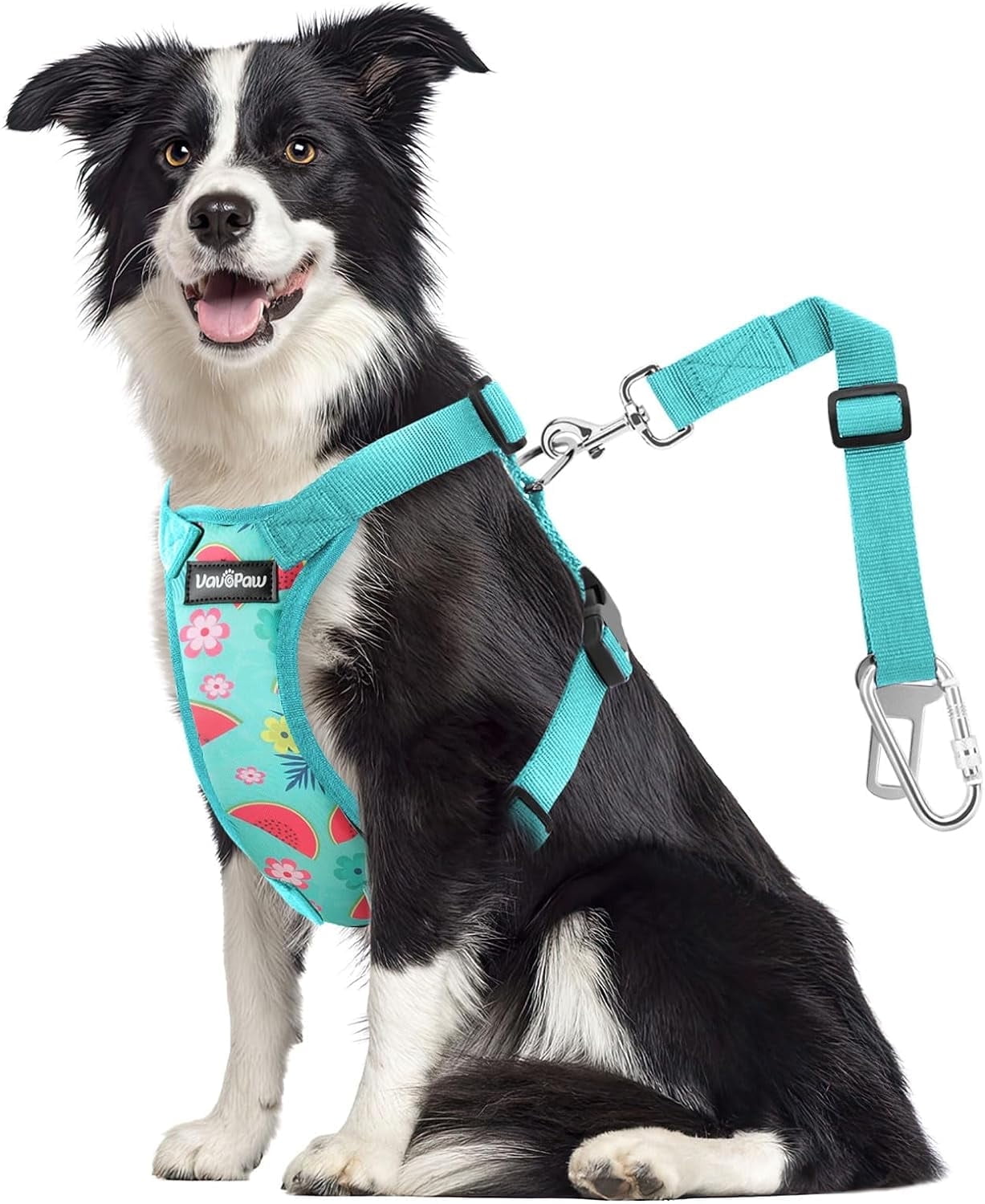 VavoPaw Dog Vehicle Safety Vest Harness, Adjustable Soft Padded Mesh Car Seat Belt Leash Harness with Travel Strap and Carabiner for Most Cars, Size Large, Lake Blue Flower