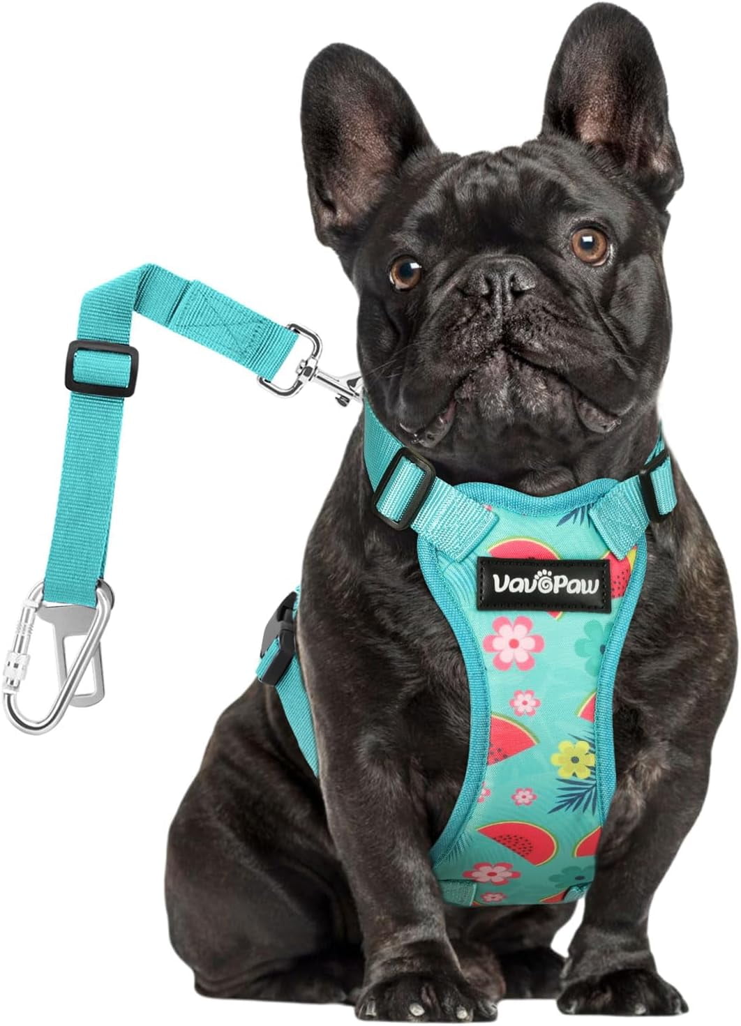 VavoPaw Dog Vehicle Safety Vest Harness, Adjustable Soft Padded Mesh