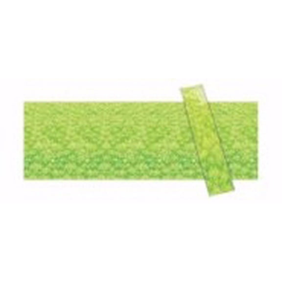 Vbs-Meadow Backdrop (30  X 4 )