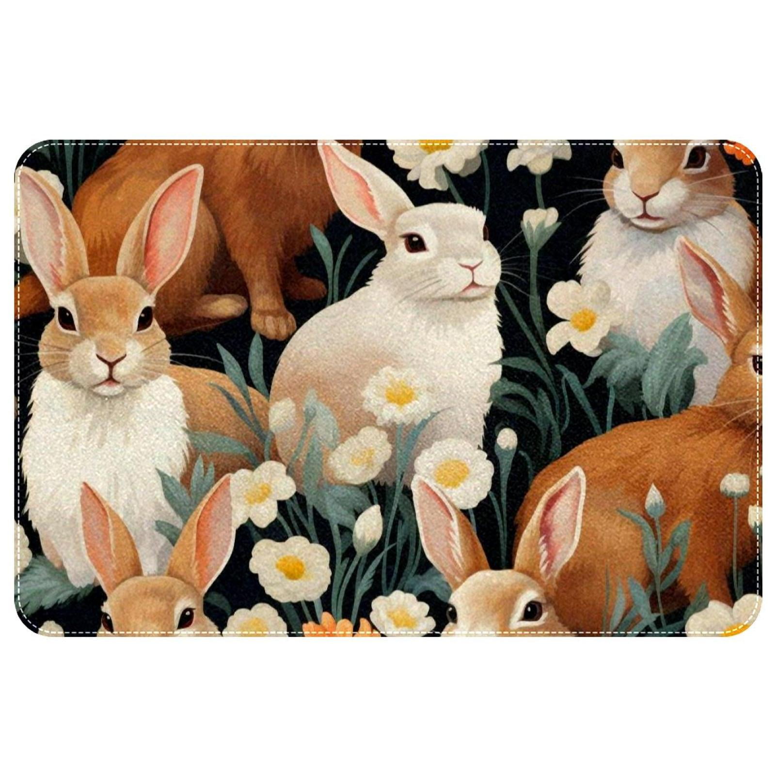 Vcedizo NonSlip Area Rug Washable Carpet for Bedroom Bathroom Living