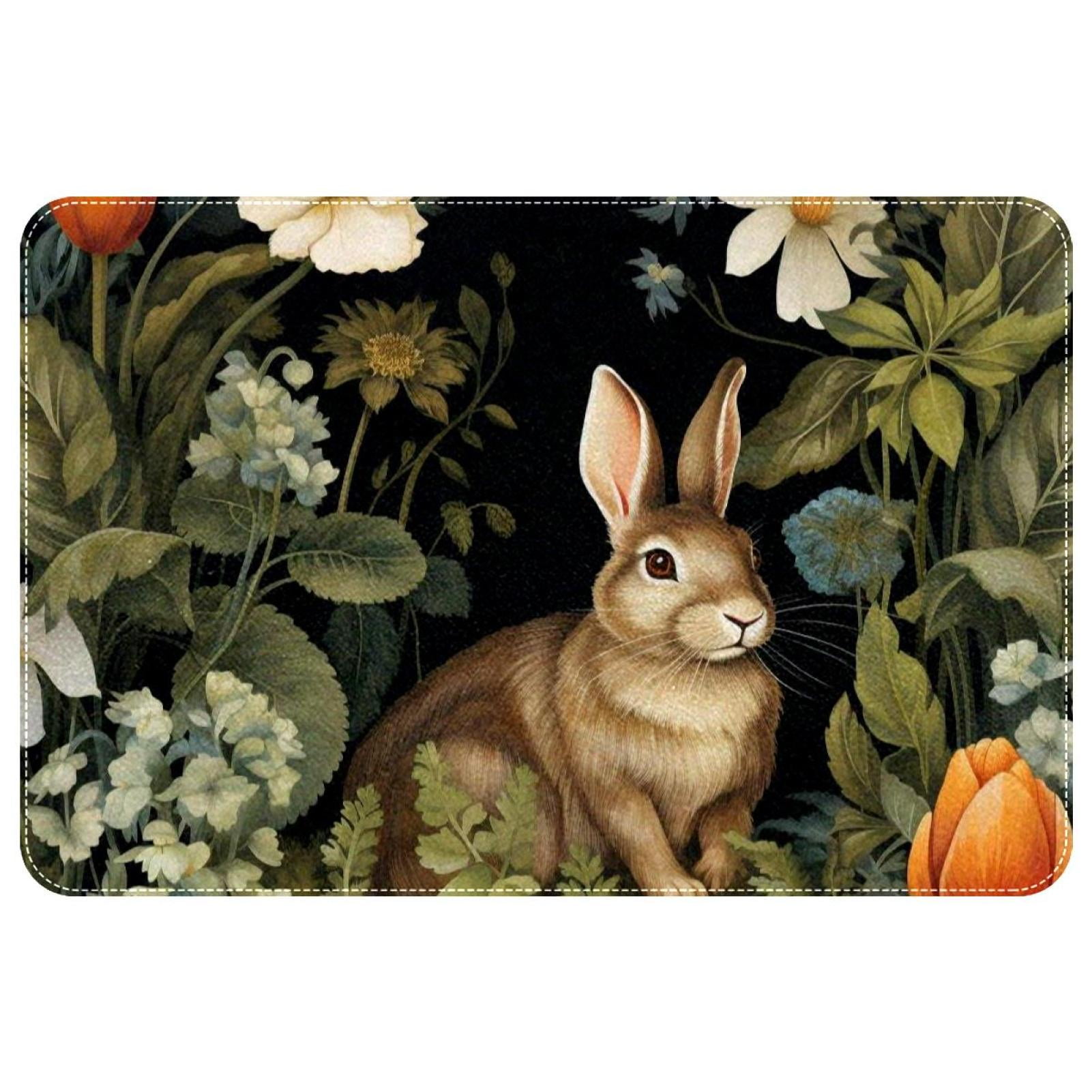 Vcedizo NonSlip Area Rug Washable Carpet for Bedroom Bathroom Living