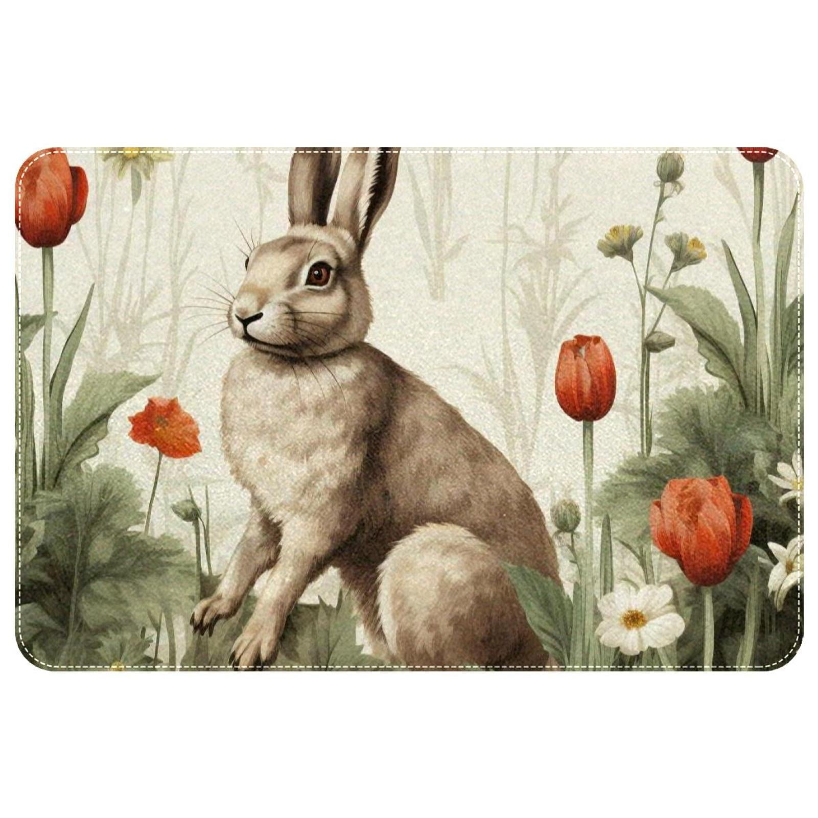 Vcedizo NonSlip Area Rug Washable Carpet for Bedroom Bathroom Living