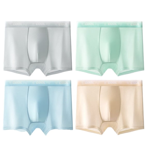 VeFlora 4pcs Boys Ice-Silk Underwear Box Briefs, Performance Stretch Mesh Boxer Briefs for Middle & High School, Antibacterial Breathable Boxer Brief Underwear Set(Sky Blue2/17-18 Years)