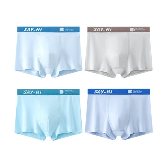 VeFlora 4pcs Boys Ice-Silk Underwear Box Briefs, Performance Stretch Mesh Boxer Briefs for Middle & High School, Antibacterial Breathable Boxer Brief Underwear Set(Sky Blue5/12-13 Years)