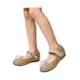 thumbnail image 1 of VeFlora Girls Dress Shoes, Glitter Princess Shoe, Flower Mary Jane Low Heels, Party Wedding Prom Footwear for Toddler Kids(Gold/5.5-6 Years Little Child), 1 of 8