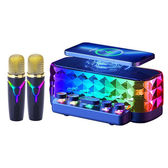 VeGue Portable Karaoke Machine with Bluetooth Speaker, Wireless