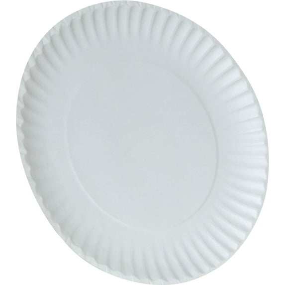 VeZee 9" Disposable white Paper Plates for home, Parties & All occasion, Can use in Microwave : Can hold hot & Gold food: Qty 400