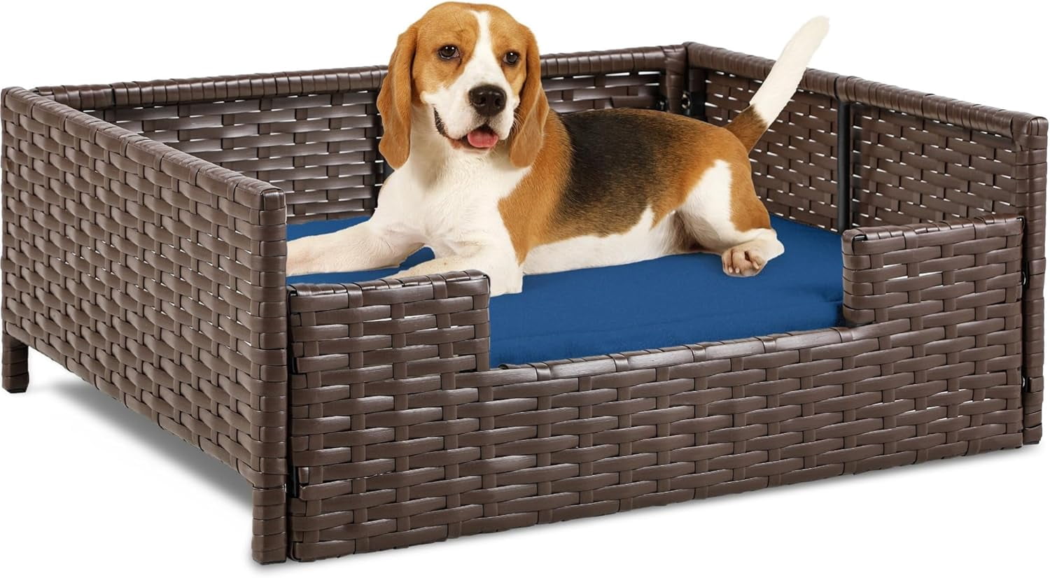 Beautiful view of Dog Crate Rattan Single Sofa