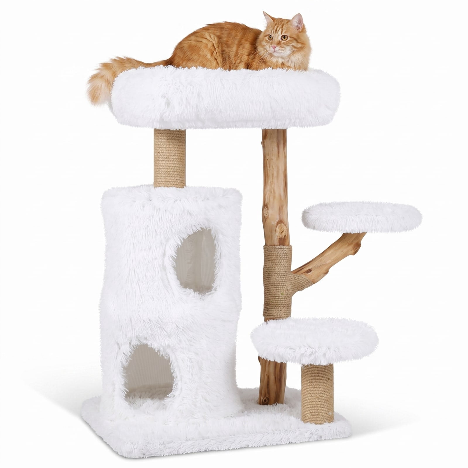 Vebreda Modern Cat Tree for Indoor Cats, 30.5 Inch Cat Tower with Real Solid Wood Branches, Enclosed Condo, Round Platforms and Sisal Scratching Post, White and Natural