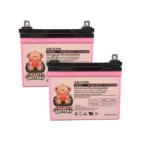 Vector Mobility Pediatric 12V 35Ah SLA Battery by Charity Battery - 2 pack