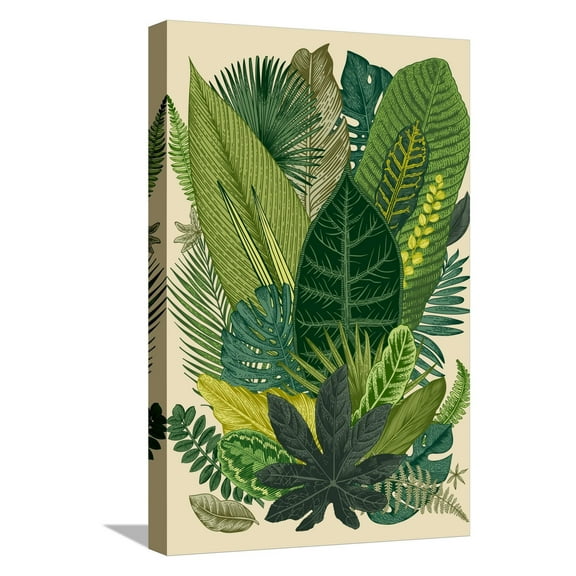 Art.com Vector Vintage Composition. Exotic Leaves. Botanical Classic Illustration. Stretched Canvas Print Wall Art by Olga Korneeva, 12" x 18"