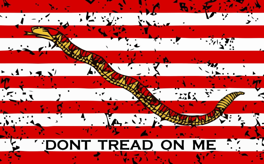 Vector illustration of the First Navy Jack Canvas Art - John ParrotStocktrek Images (36 x 22)