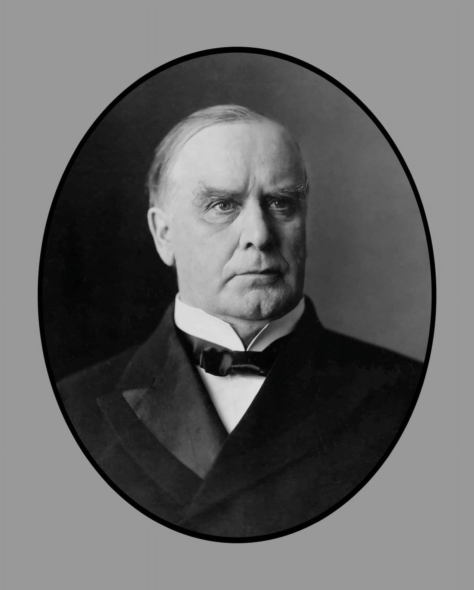 Vector portrait of President William McKinley Jr Canvas Art - John ParrotStocktrek Images (13 x 16)