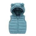 thumbnail image 1 of Vedolay Baby Girls Clothes Winter Thick Warm Hooded Windproof 2023 Outwear Jacket Hoodies Coat Blue,110, 1 of 3