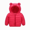 thumbnail image 1 of Vedolay Boys Girls Winter Coat Toddlers Soft Hooded Ears Design Warm Lightweight Outerwear Baby Kids Cute Outfits, 1 of 6