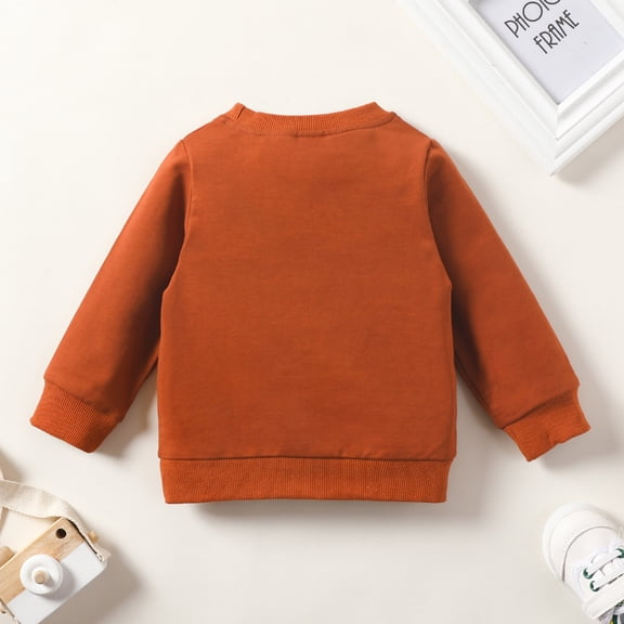 Vedolay Girl's Fashion Hoodies Children Autumn Winter Long Sleeve Hoodies Pullover Tie-Dye Tops,Brown 2-3 Years