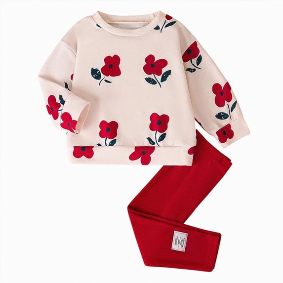 Vedolay Toddler Baby Girl Clothes Floral Printed Sweatshirt Pants 2Pcs Fall Outfits for Little Girls Clothing Set 18-24 Months