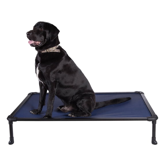 Veehoo Chew Proof Dog Bed, Cooling Raised Pet Cot, Rustless Aluminum Frame, Blue, Large