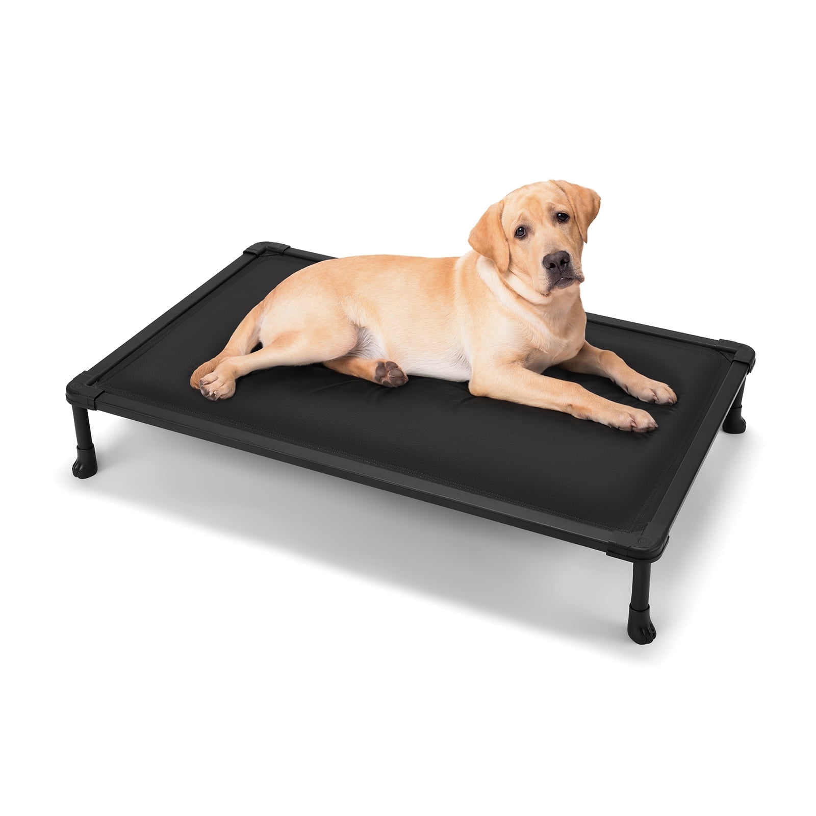 Veehoo Chew Proof Elevated Dog Bed, Indestructible Raised Dog Cot, Orthopedic Dog Platform Bed with Soft Padded Mat, Durable Waterproof Pet Cot for Indoor, Outdoor or Crate, 41-Inch, Black