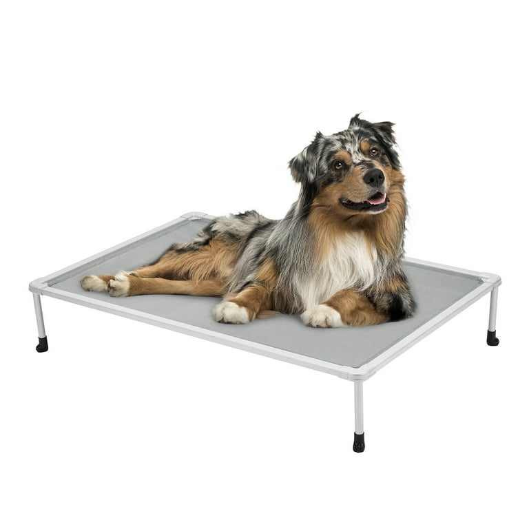Chew-Proof Beds for Dogs  Chew Resistant Beds for Dogs