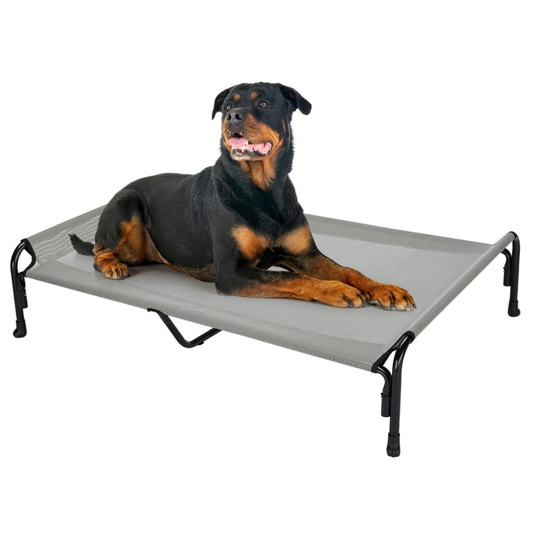 Elevated cot cheap