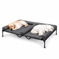 thumbnail image 1 of Veehoo Cooling Raised Dog Bed + Waterproof Double Dog Bed Cushion for Two Dogs, Elevated Dog Bed with Removable Bolster Mat, Breathable Mesh, No-Slip Feet, 59" x 37.5" Dog Couch Bed, Black Silver, 1 of 8
