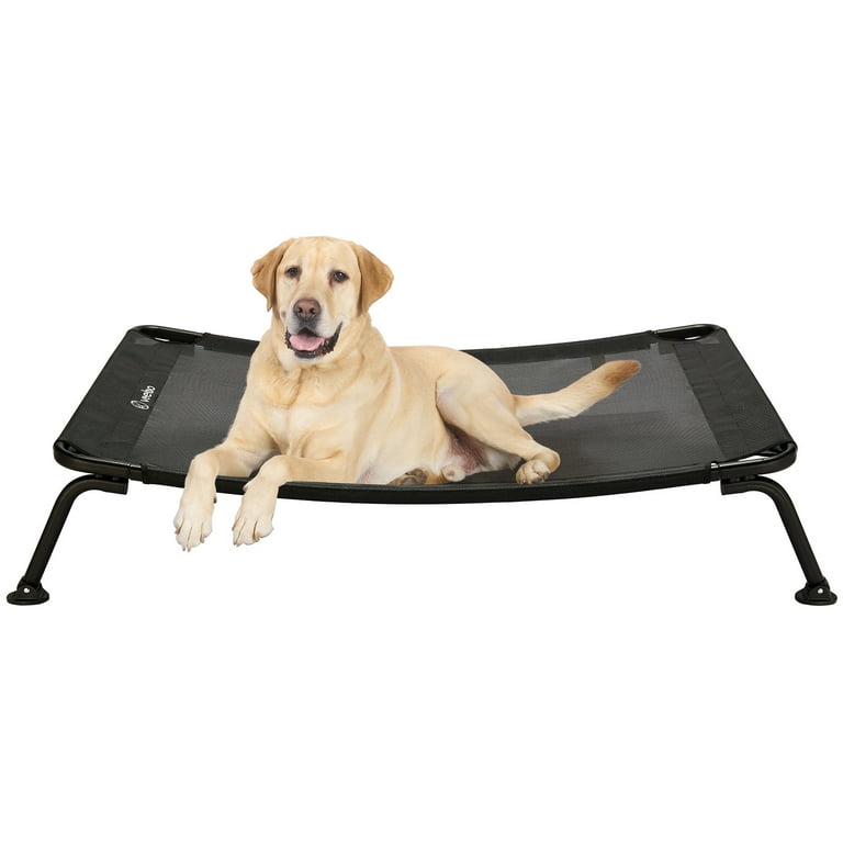 Elevated dog top bed walmart