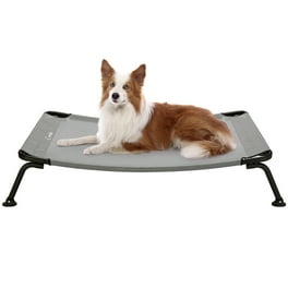 Chew proof dog bed walmart sales