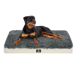 Inflatable Dog Bed