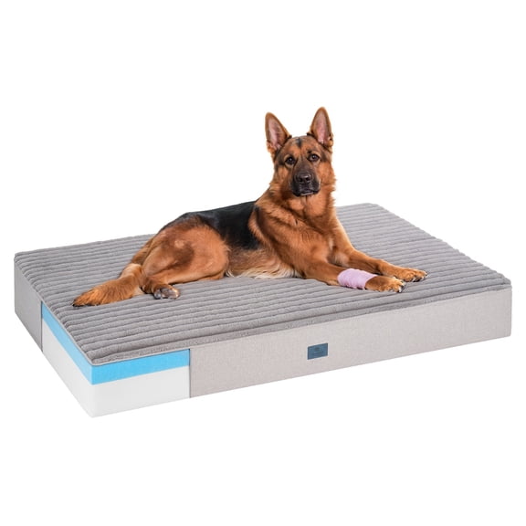Veehoo Orthopedic Memory Foam Dog Bed, 7 Inch Thick Extra Large XXL Dog Bed for Senior Dogs with Ultra-Soft Fluffy Surface, Waterproof Liner, Removable Washable Cover and Non-Slip Bottom, 52"x36"x7"