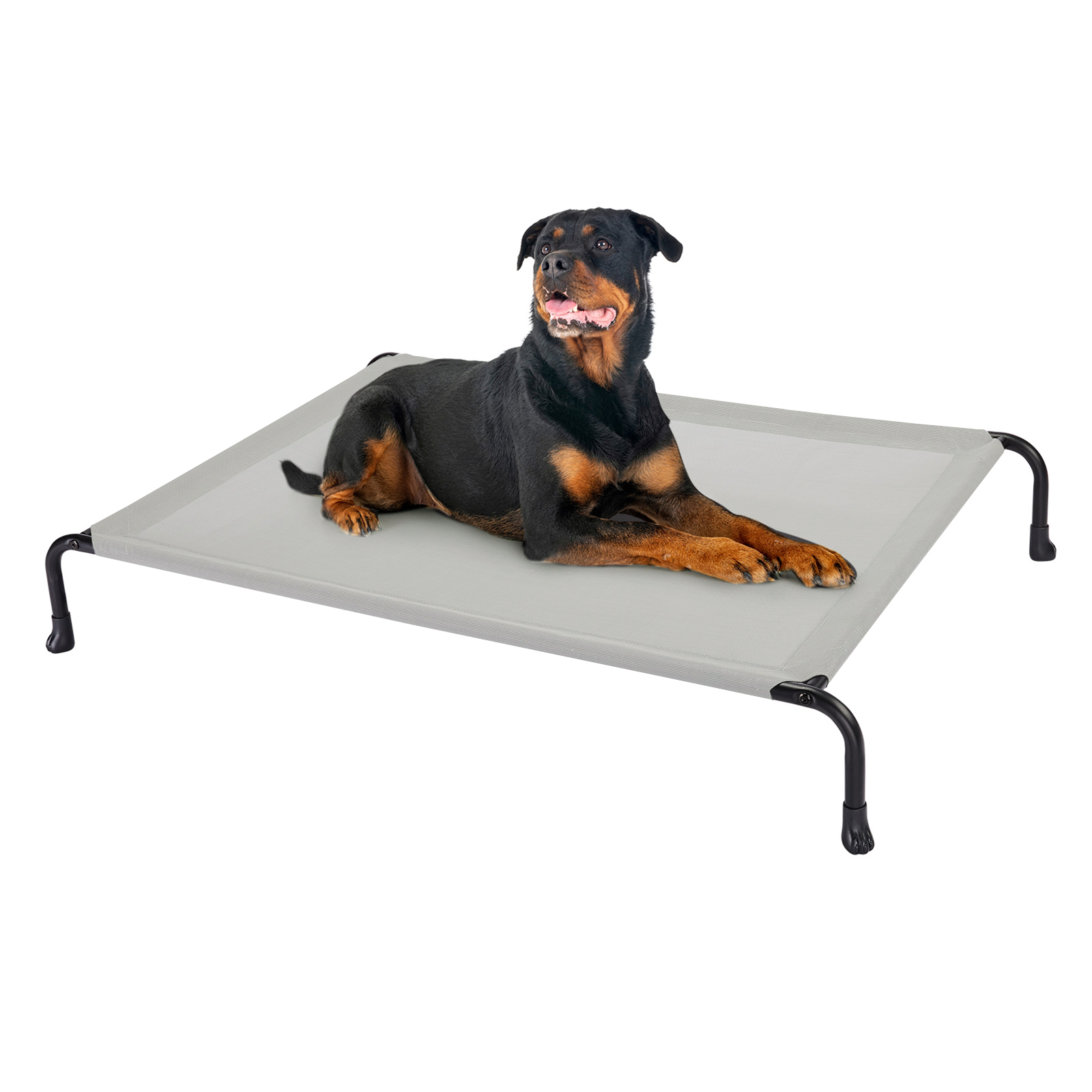 The Original Coolaroo Elevated Pet Dog Bed for Indoors & Outdoors