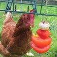 thumbnail image 1 of Veeogra Clearance items,Home Essentials,Steel Toy Feeder Stainless Food Hanging Fruit Vegetable Chicken Tools & Home Improvement,Garden Tools, 1 of 6