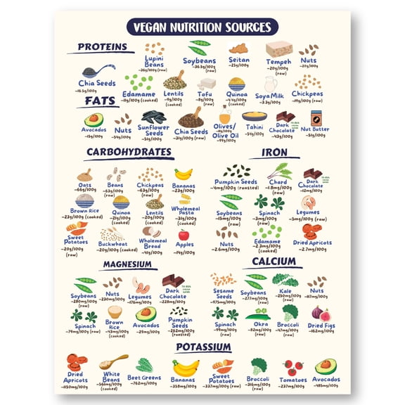 Vegan Health Foods Chart Poster| Nutritional Guide For Keto High Protein Vegan & Vegetarian Diets | Decorative Food Cheat Sheet