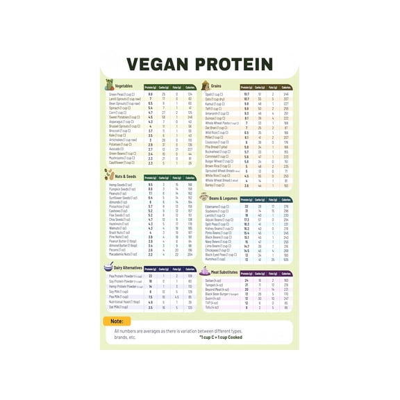 Vegan Protein Sources Poster Comprehensive Plant Protein Food Chart and Nutrition Guide for Vegetarian Diet and Active Lifestyles