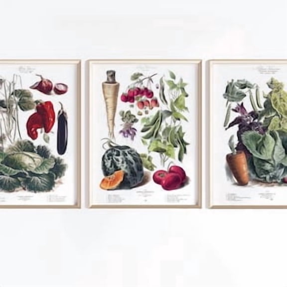 Vegetable Art Set Of 3, Vegetable Poster, Vegetables Art, Antique French Poster, Kitchen Art Prints, Poster Only