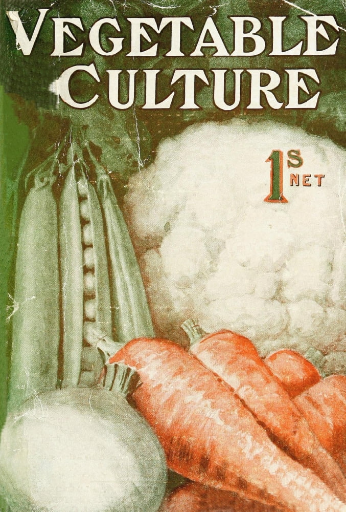 Vegetable Culture 1913 Canvas Art - (24 x 36)