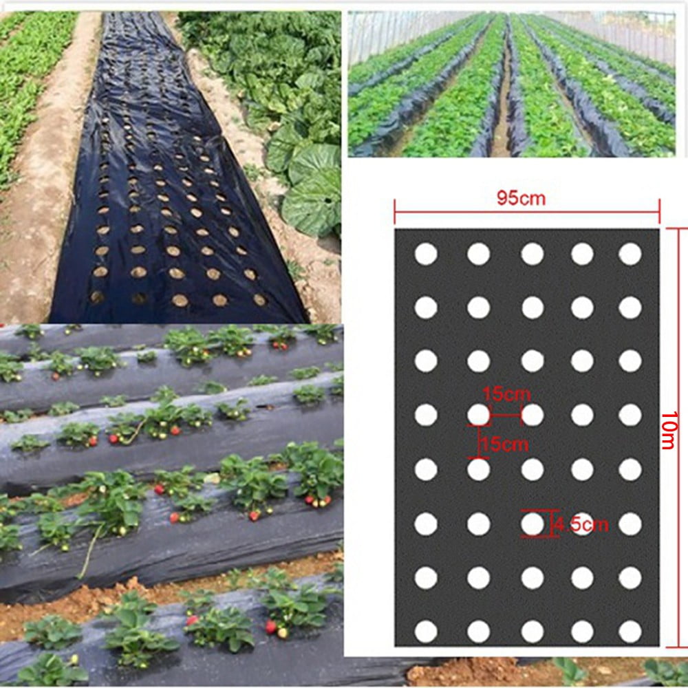 Vegetable Garden Membrane Agricultural Plants Mulching Perforated Film 5 Holes 10M